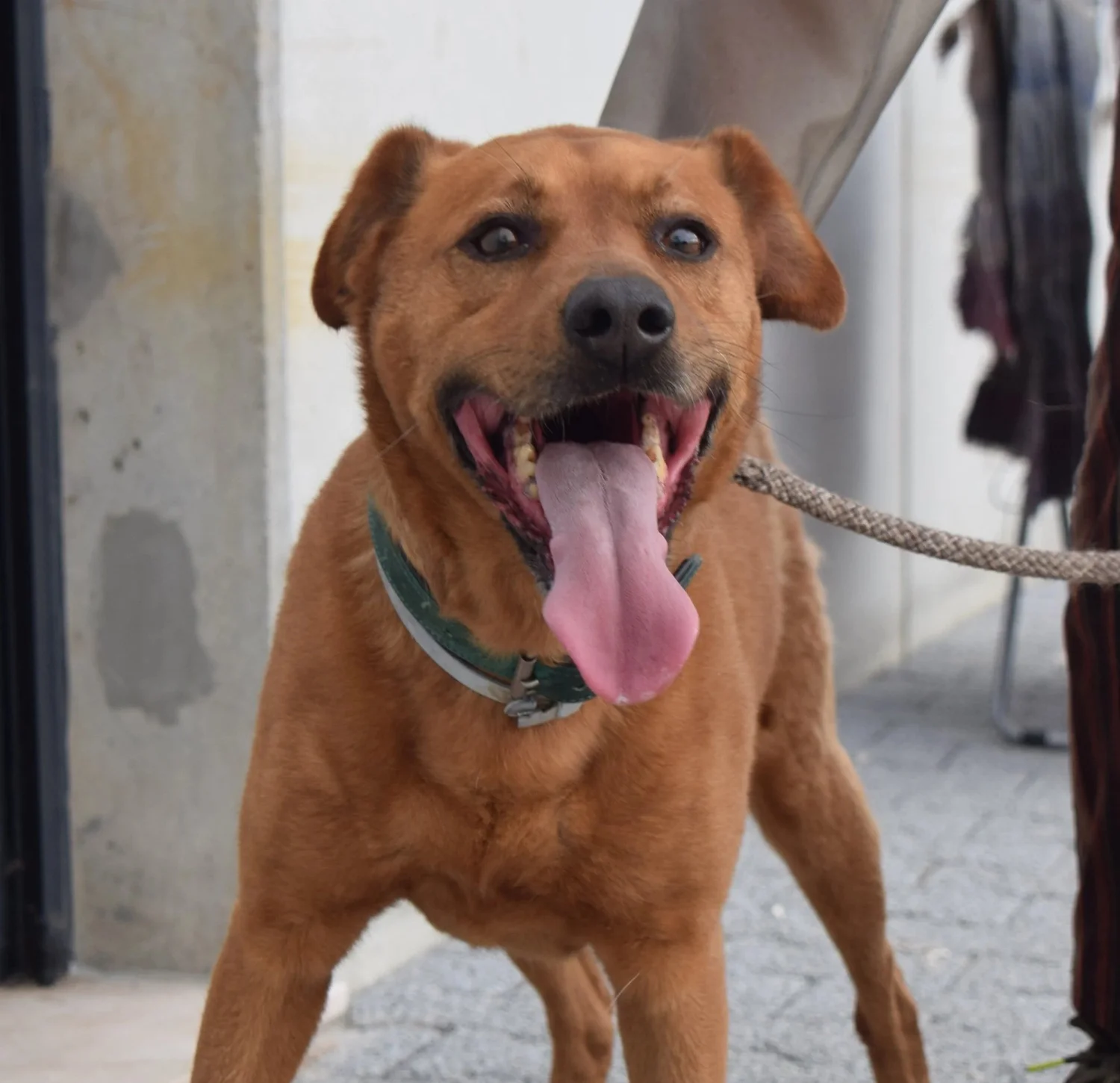 Rio