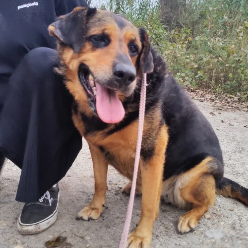 Yvone