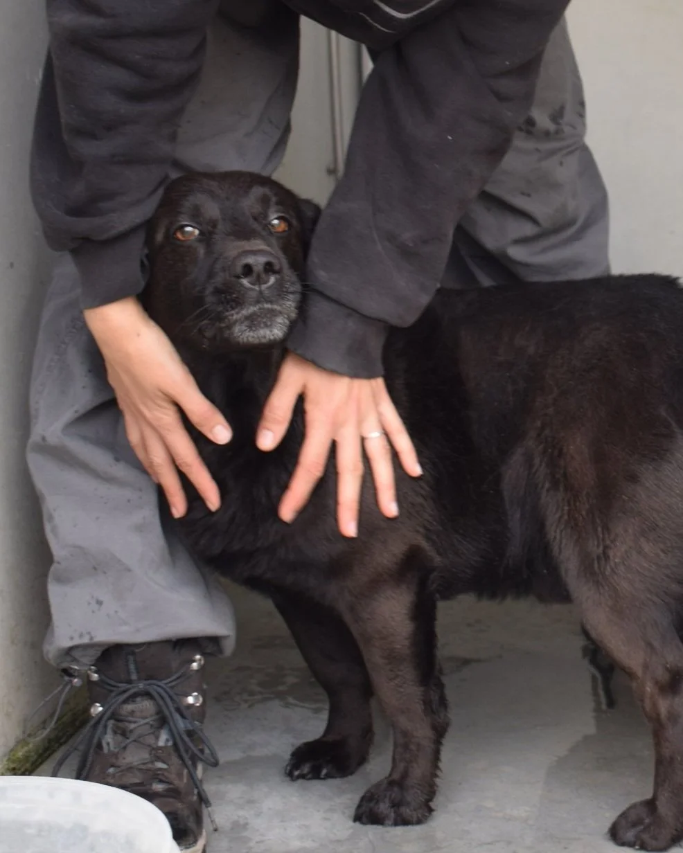 Aníbal - Image 7