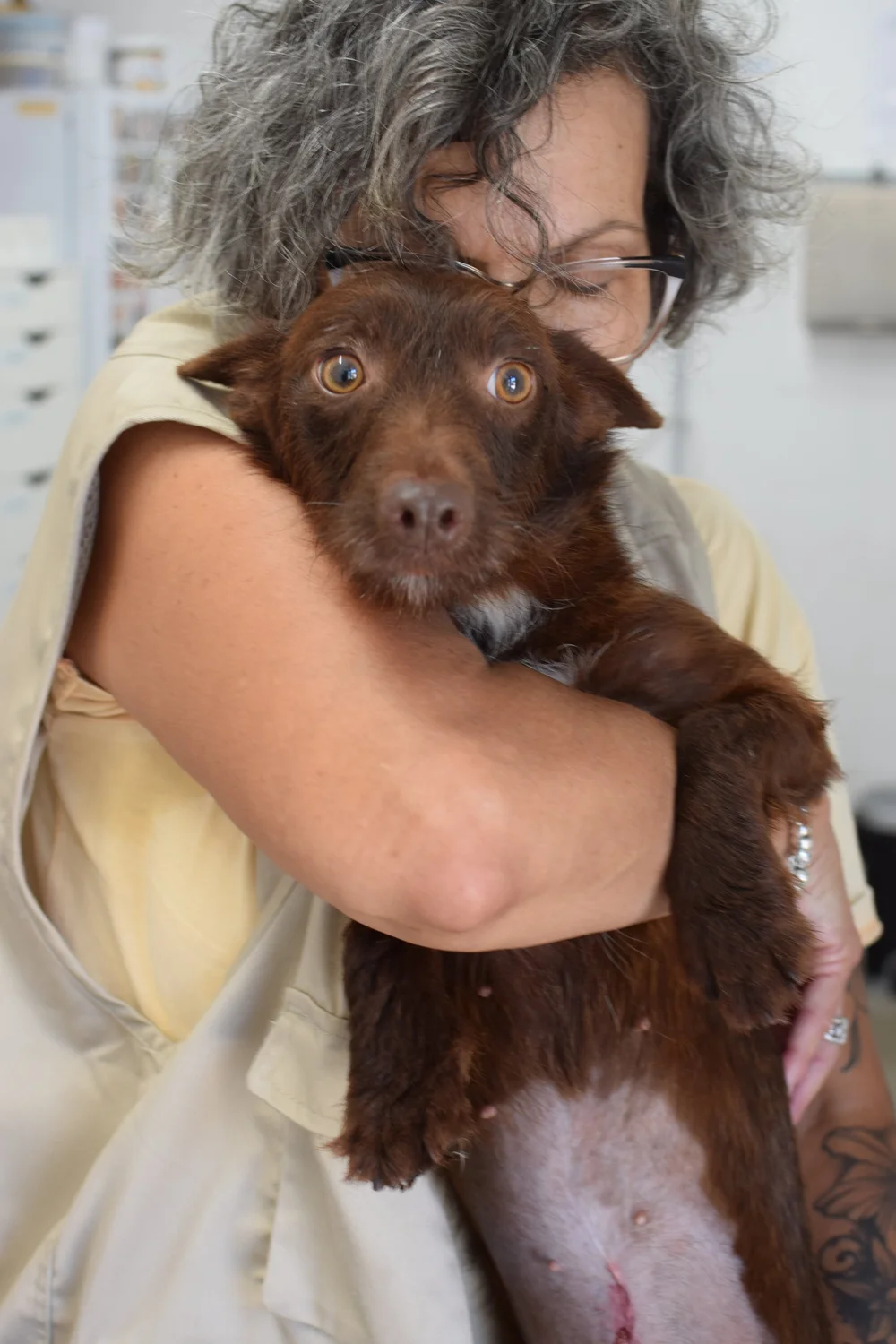 Júlia - Image 11